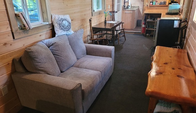 New! Robin's Nest - Cute Lakefront Tiny House with Private Dock and A/C!
