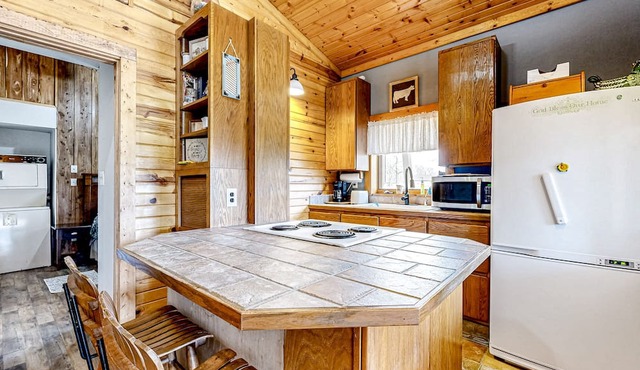 Dog-friendly retreat near downtown with firepit, streaming, patio, grill, & W/D