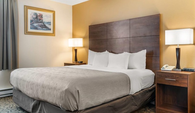 Quality Inn & Suites Manistique