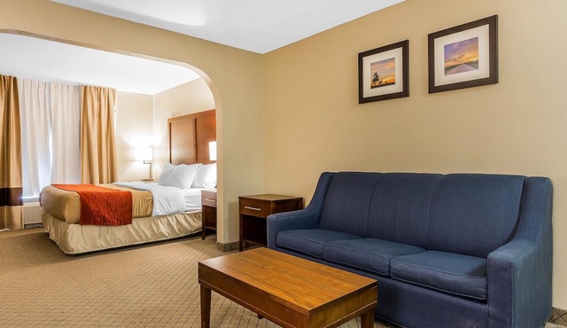 Comfort Inn & Suites Mishawaka - South Bend