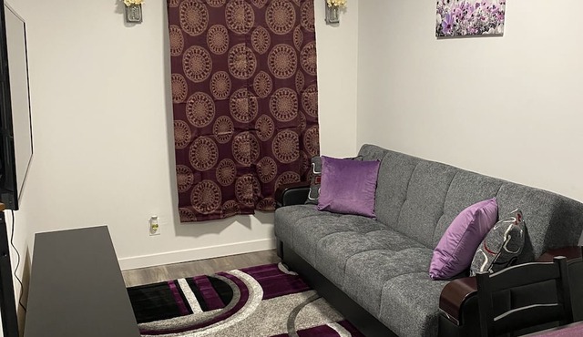A Beautiful 1BR Apartment in the Heart of Brooklyn in Brooklyn