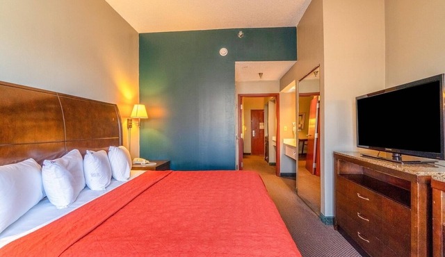 Suite - King Bed Non - Smoking in Jonesboro