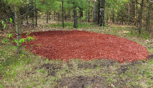 Fawn Hide Away - This campsite is serene and secluded in Pine River